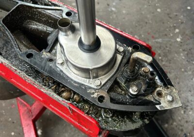 WhatsApp Image 2025 03 19 at 08.13.30